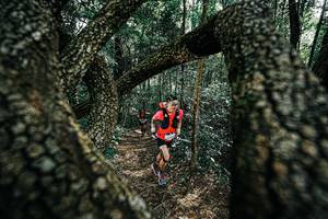 BIB: 
                            <button type="button" onclick="openModal(25392391)" class="btn btn-primary btn-sm float-right btn-popup" data-toggle="modal" data-target=".modal-high-quality">
                        <i class="fas fa-shopping-cart"></i> Add to Cart
                    </button>
                                            <button type="button" onclick="isThisMe(25392391, true)" class="btn btn-success btn-sm float-right btn-popup btn-isme hidden" data-toggle="tooltip" data-placement="bottom" title="นี่คือรูปของคุณใช่ไหม คลิกที่นี่เพื่อเอาเข้าอัลบั้ม">
                        <i class="fas fa-plus"></i> Add to album
                    </button>
                    <button type="button" onclick="isThisMe(25392391, false)" class="btn btn-warning btn-sm float-right btn-popup btn-isnotme hidden">
                        <i class="fas fa-ban"></i> Remove from album
                    </button>